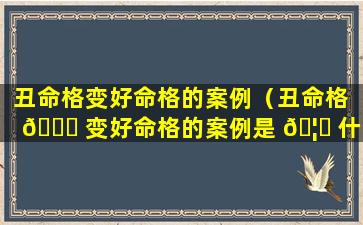 丑命格变好命格的案例（丑命格 🐝 变好命格的案例是 🦉 什么）